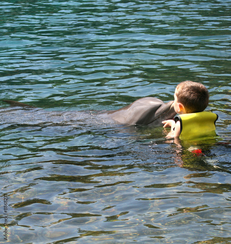 young child kissing a dolphin