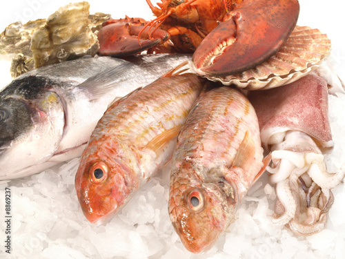 Fangfrischer Fisch photo