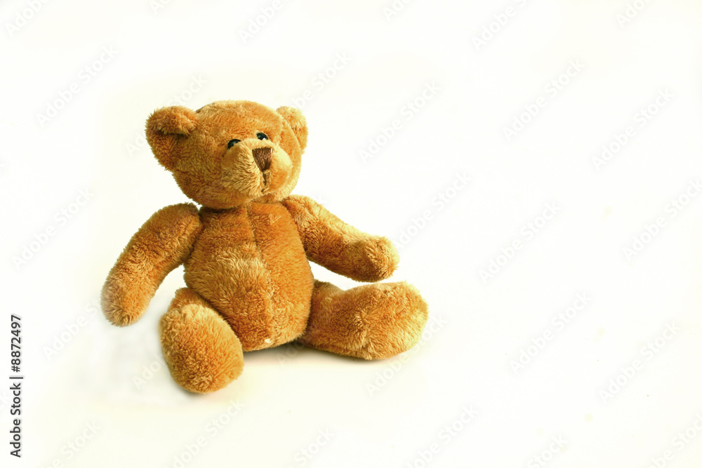 Fototapeta premium Brown teddy bear