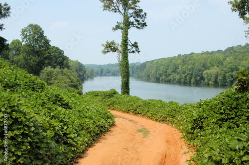 Along the river