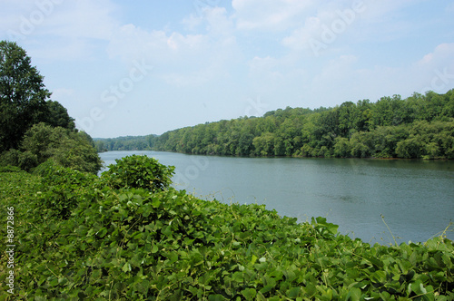 Catawba River view