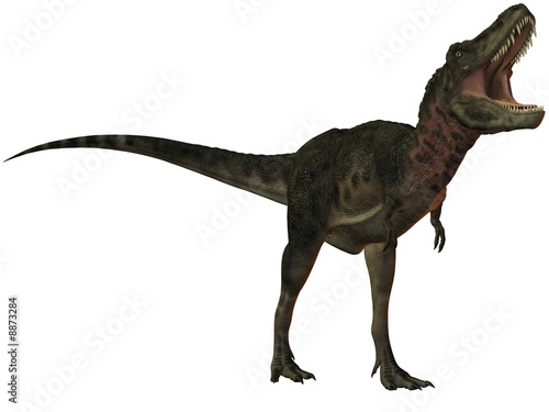 Tarbosaurus Bataar-3D Dinosaurier © Andreas Meyer
