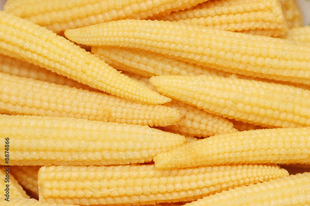 Baby corn cobs arranged as a background Baby corn cobs arranged as a background