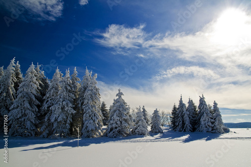 Winter 22 © danielschoenen