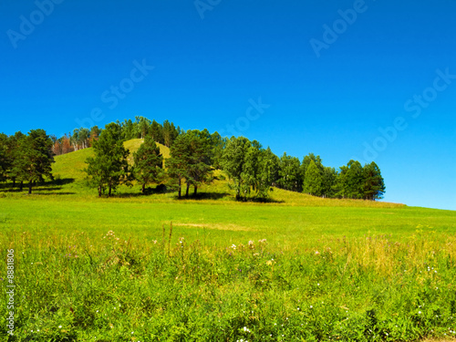 summer field green hill and clear blue sky landscape