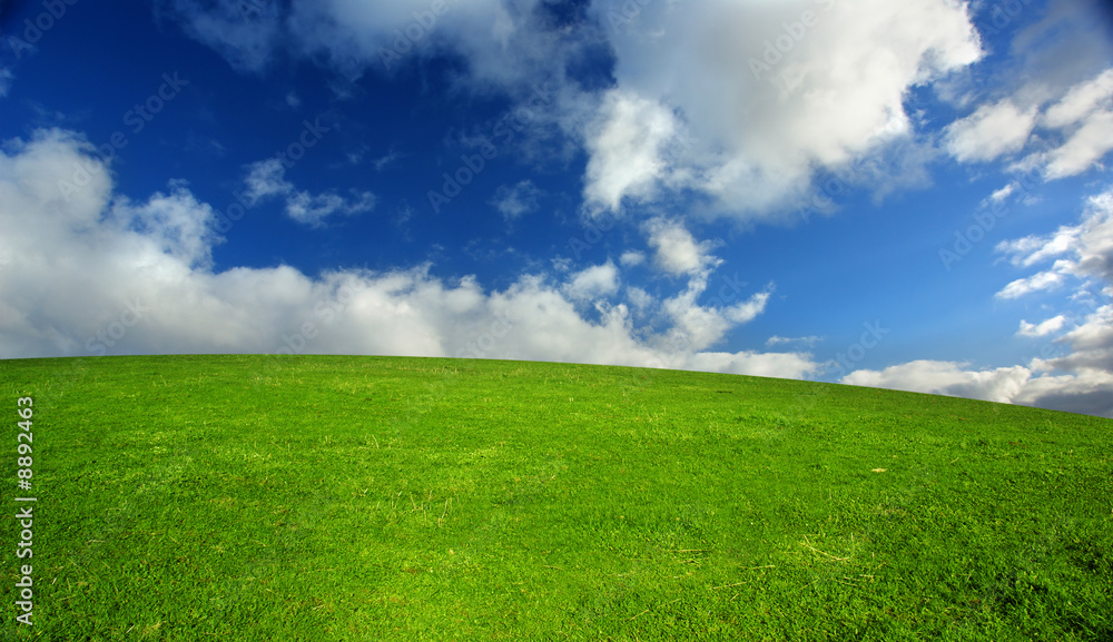 Fototapeta premium Beautiful Green Meadow in South Australia