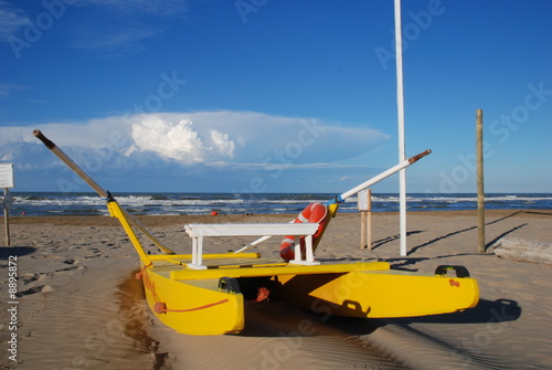 Riccione moscone giallo 2