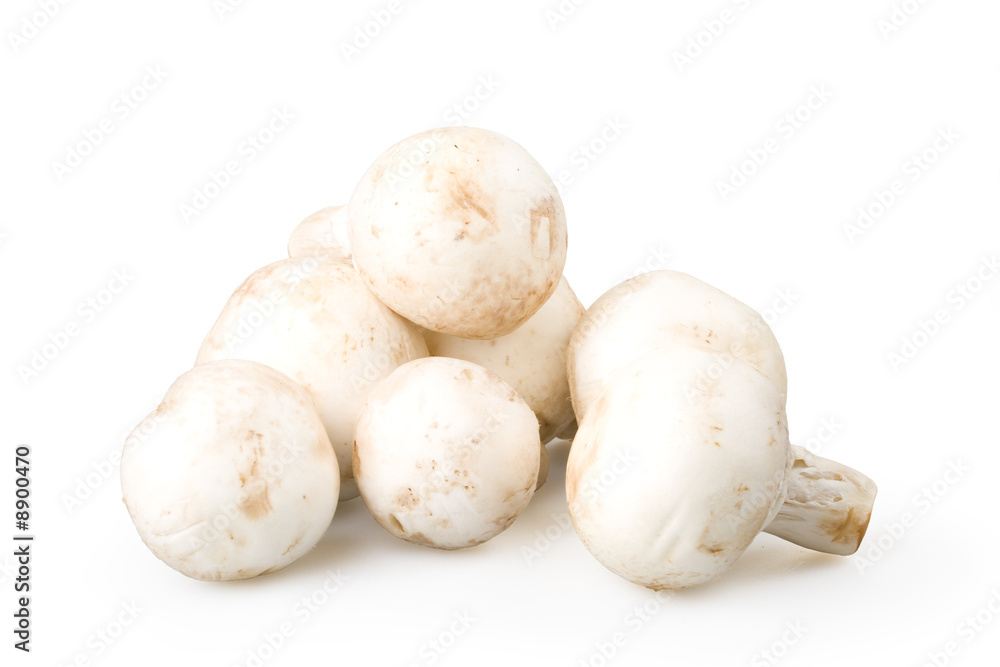 Fresh mushrooms isolated on a white background. Fresh mushrooms isolated on a white background.