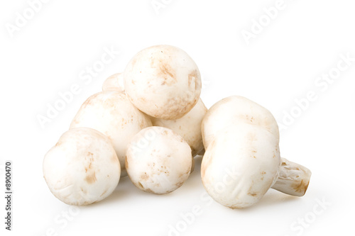 Fresh mushrooms isolated on a white background.