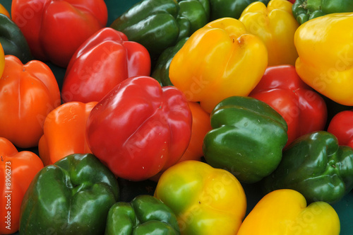 Légumes de couleurs