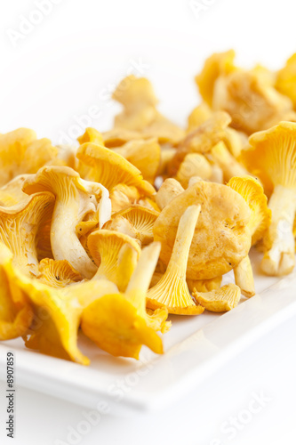 fresh golden chanterelles piled on the table