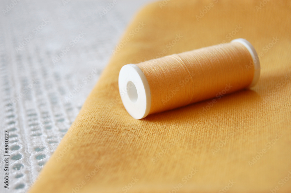 Fototapeta premium Needle and Thread