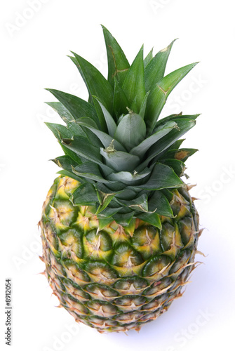 Ananas - pineapple 24