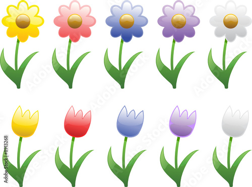Spring and Summer Flowers