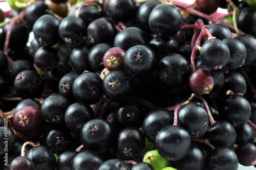 Holunderbeeren photo