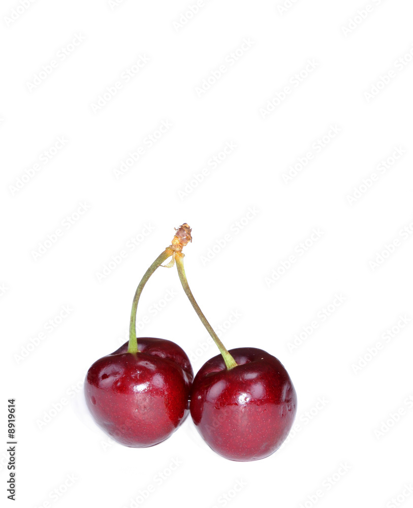 pair of fresh colorful cherries isolated on white pair of fresh colorful cherries isolated on white