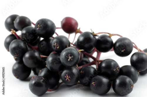 Holunderbeeren photo