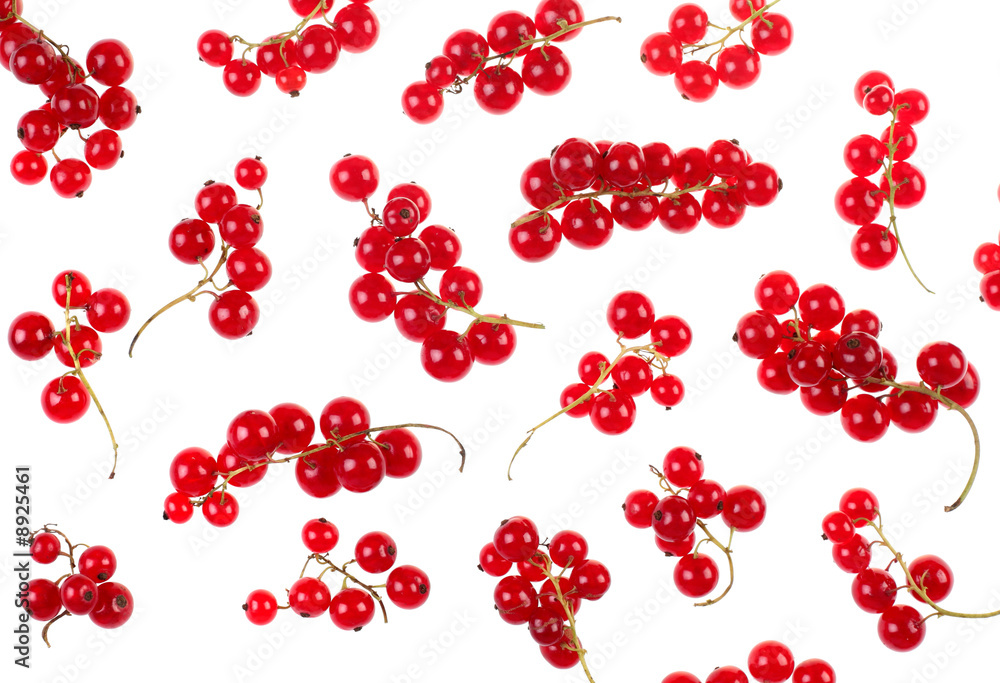 Red currant berry background on white detail view Red currant berry background on white detail view