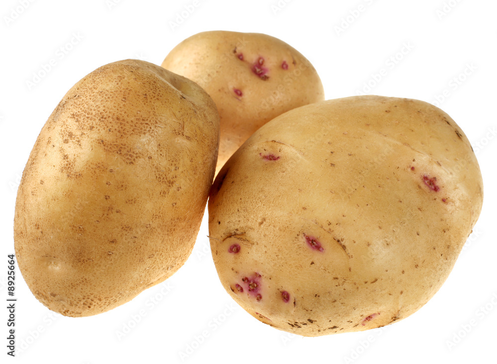 Yellow potato vegetable root closeup on white Yellow potato vegetable root closeup on white