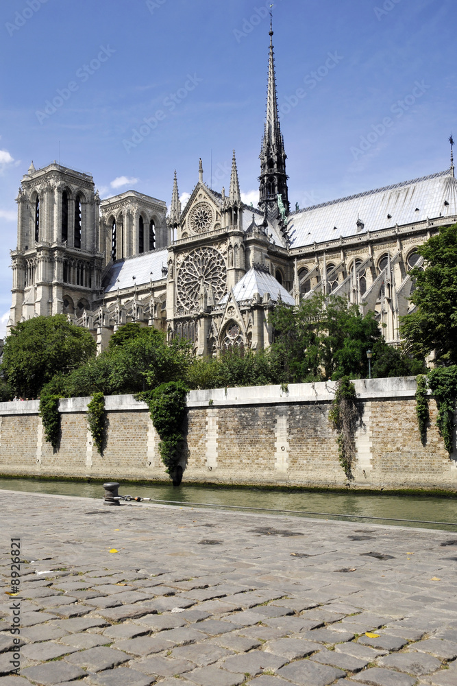 Obraz premium Notre-Dame, Paris