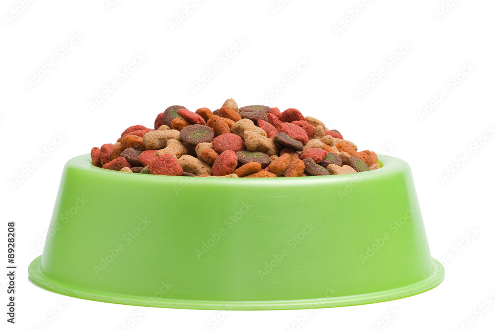Pet Food Bowl Isolated White on Background Pet Food Bowl Isolated White on Background