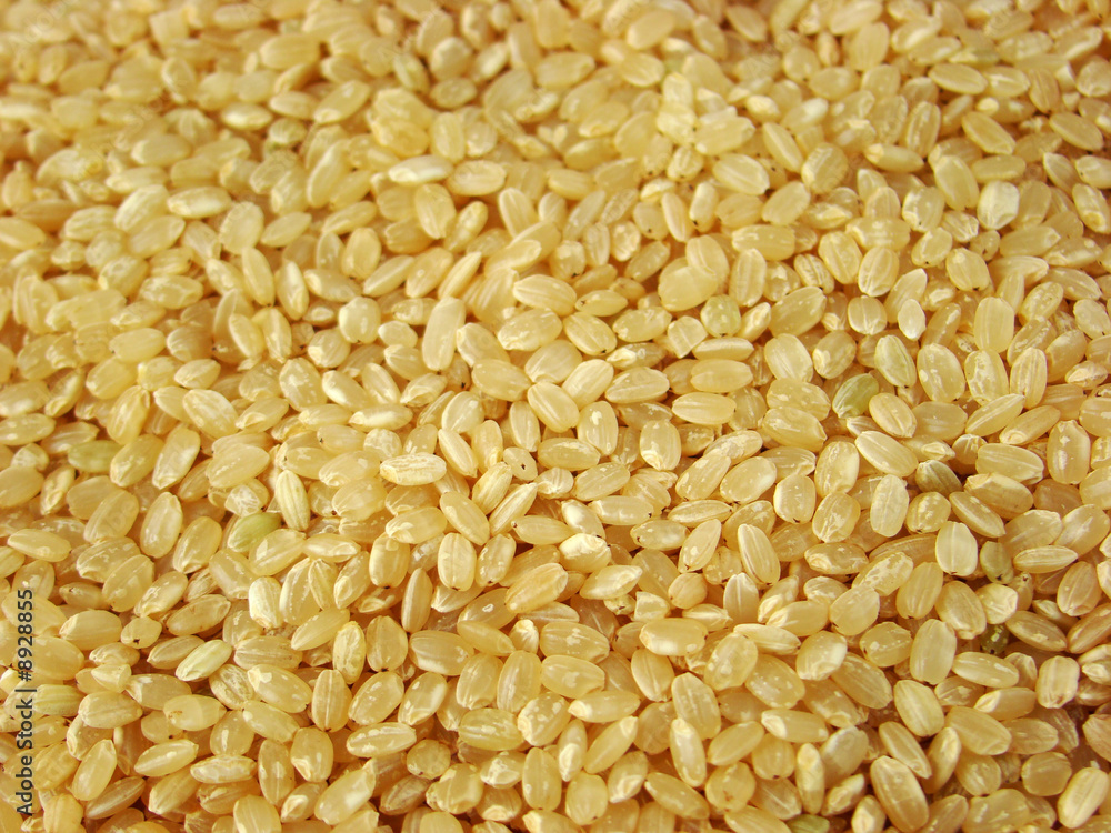 Rice close up shot for background Rice close up shot for background