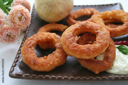 tintenfischringe photo