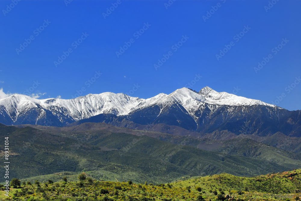 canigou (66)