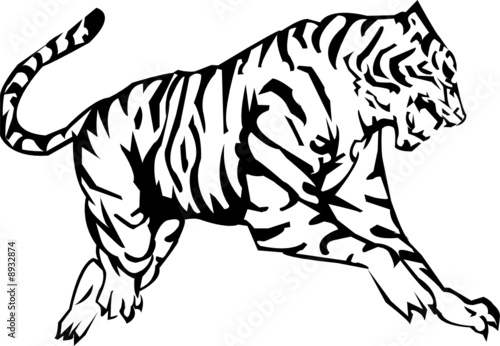 Tiger Vector