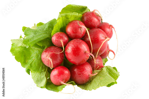 bundle of red radish isolated on white background