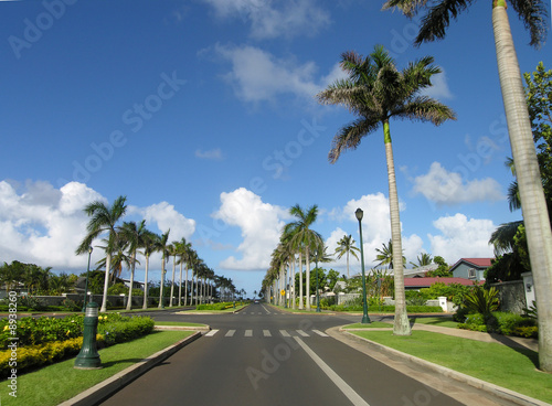 Hawaiian Road 2