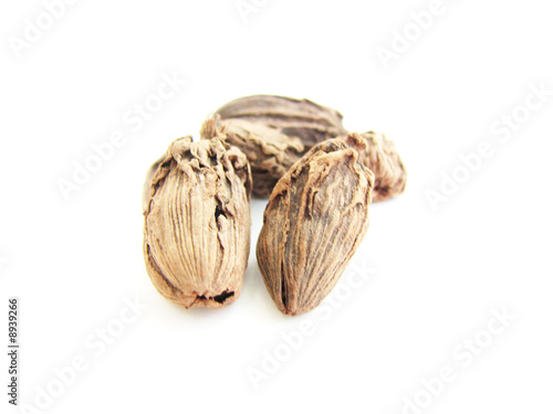 Cardamom