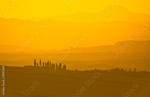 image of typical tuscan landscape