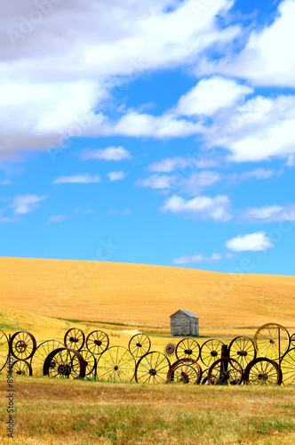 Wheat Fields and Old Wagon Wheel fence