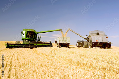 Two Combines Emptying Graing into A Truck