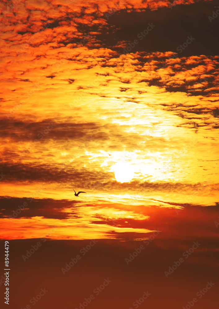 Fototapeta premium sunset