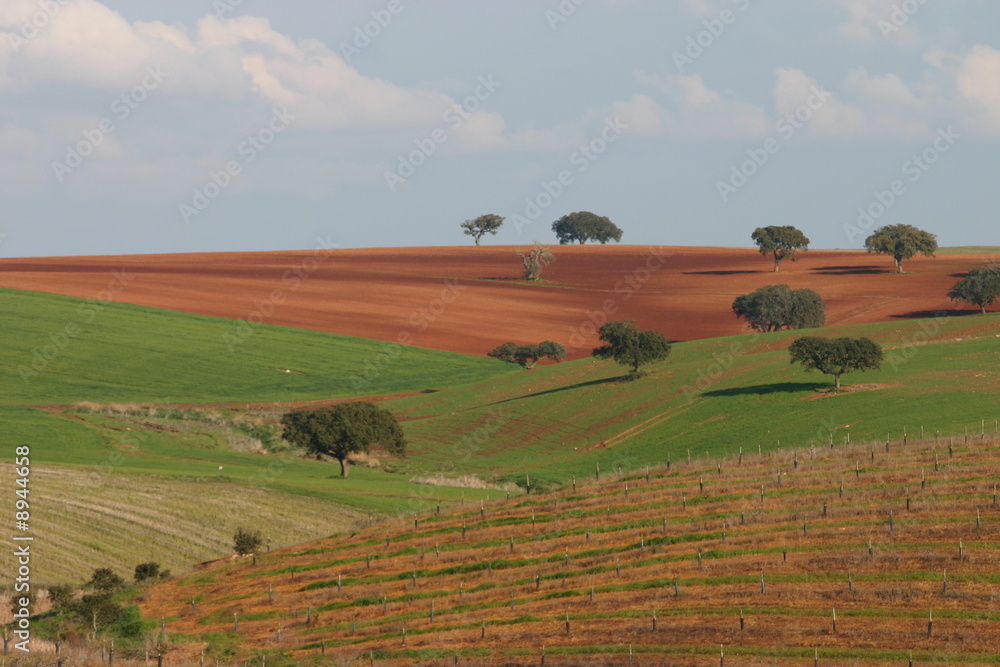 Obraz premium Alentejo