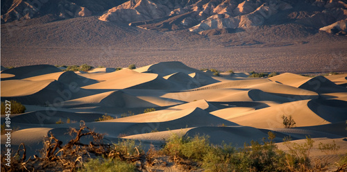 Foto Mesquite Sand Dunes im Death Valley