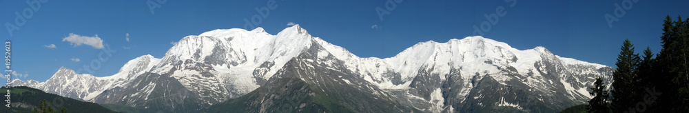 Le Mont Blanc depuis le Bettex