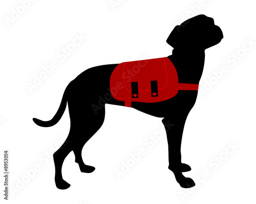 Hund mit rotem Rucksack