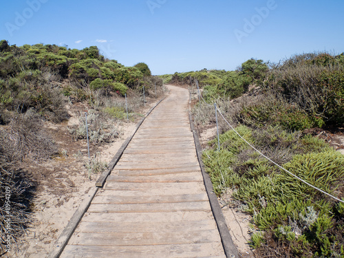 Pathway leading through the dunes to the beach.
