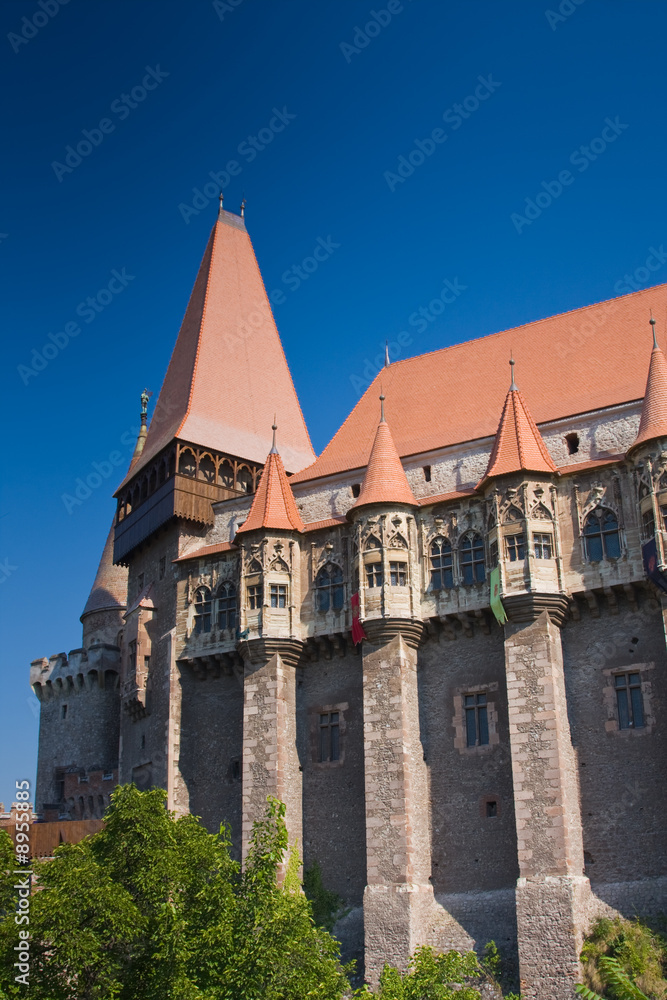 Corvinesti Castle in Hunedoara, Romania.