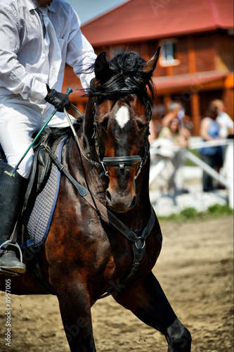 Horse theme: jockeys, horse races, speed.