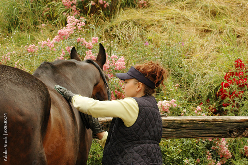 Woman cleans horse with brush.