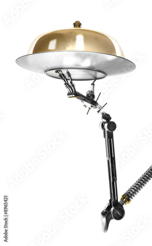 serviteur automatique