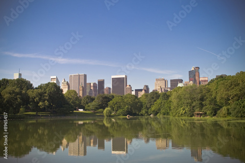 Skyscrapers in the back and trees in the front