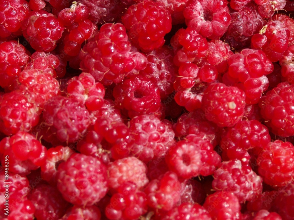framboises framboises