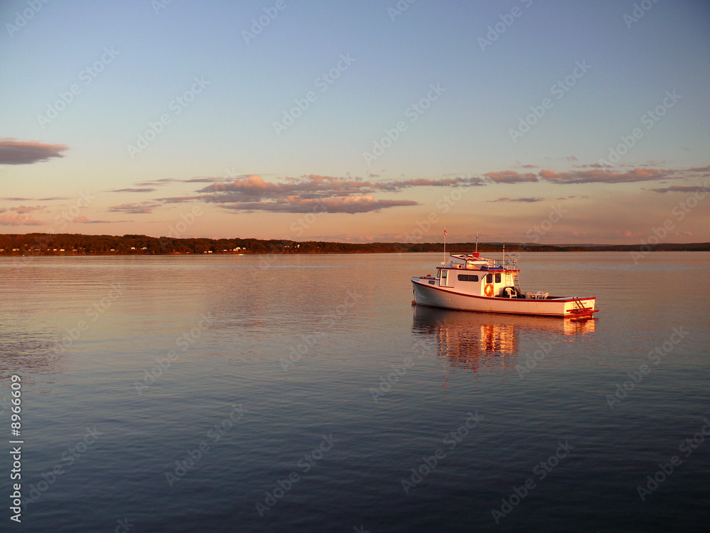 Naklejka premium Alone