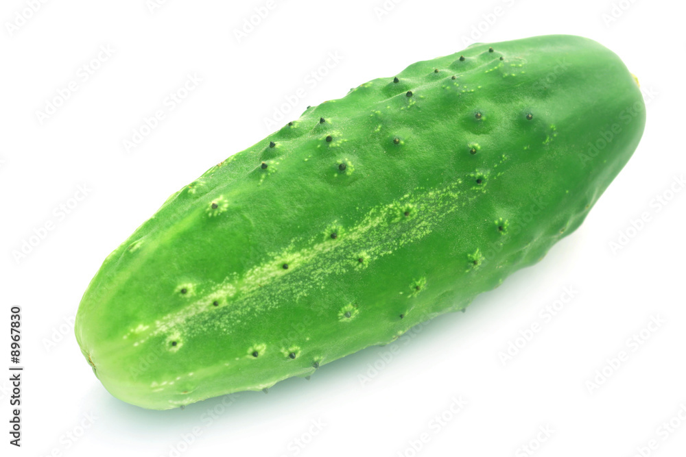 Fresh cucumber isolated on white. Fresh cucumber isolated on white.