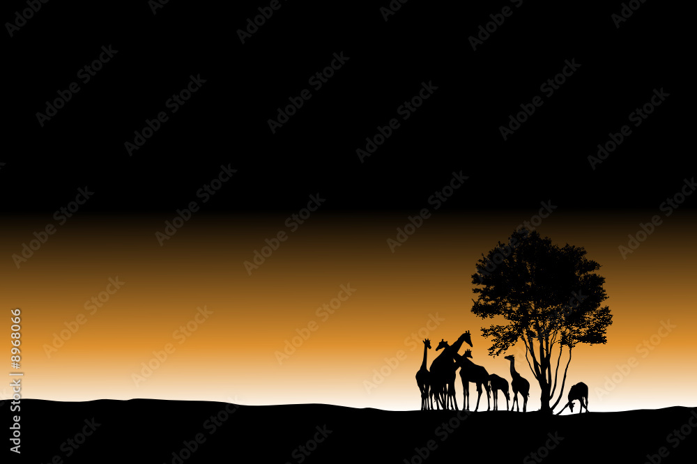 african sunrise landscape, vector illustration